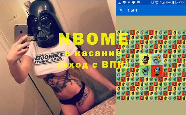 индика Арсеньев