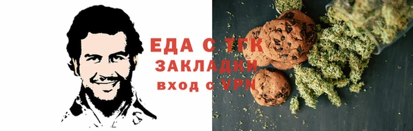 индика Арсеньев