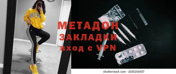 индика Арсеньев