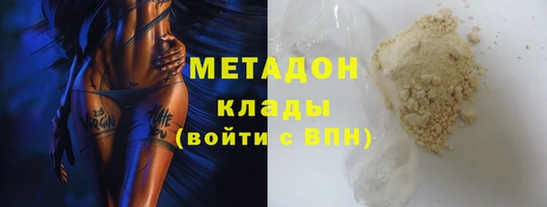 индика Арсеньев
