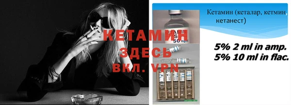 индика Арсеньев