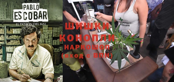 индика Арсеньев