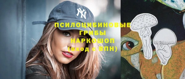 прущая мука Армянск