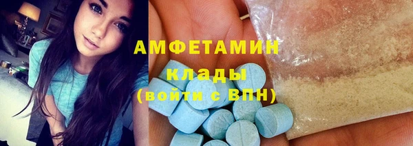 индика Арсеньев