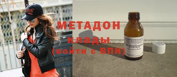 индика Арсеньев